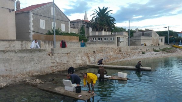 Utrinki 2015