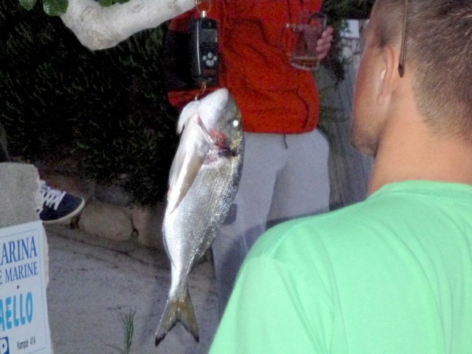p1000102