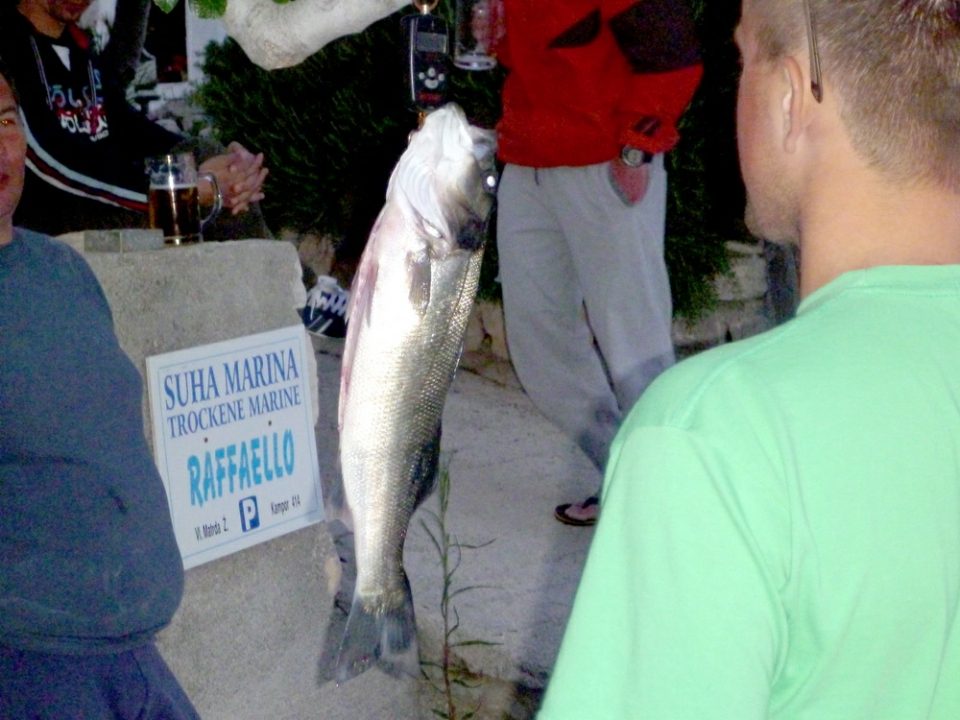 p1000104