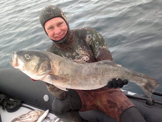 Brancin 5.1 kg